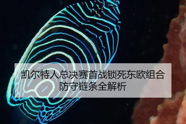 kai-er-te-ren-zong-jue-sai-shou-zhan-suo-si-dong-ou-zu-he-fang-shou-lian-tiao-quan-jie-xi-2-516.jpg
